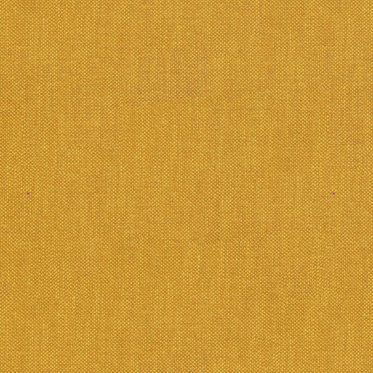 Charles Gold *Limited Stock