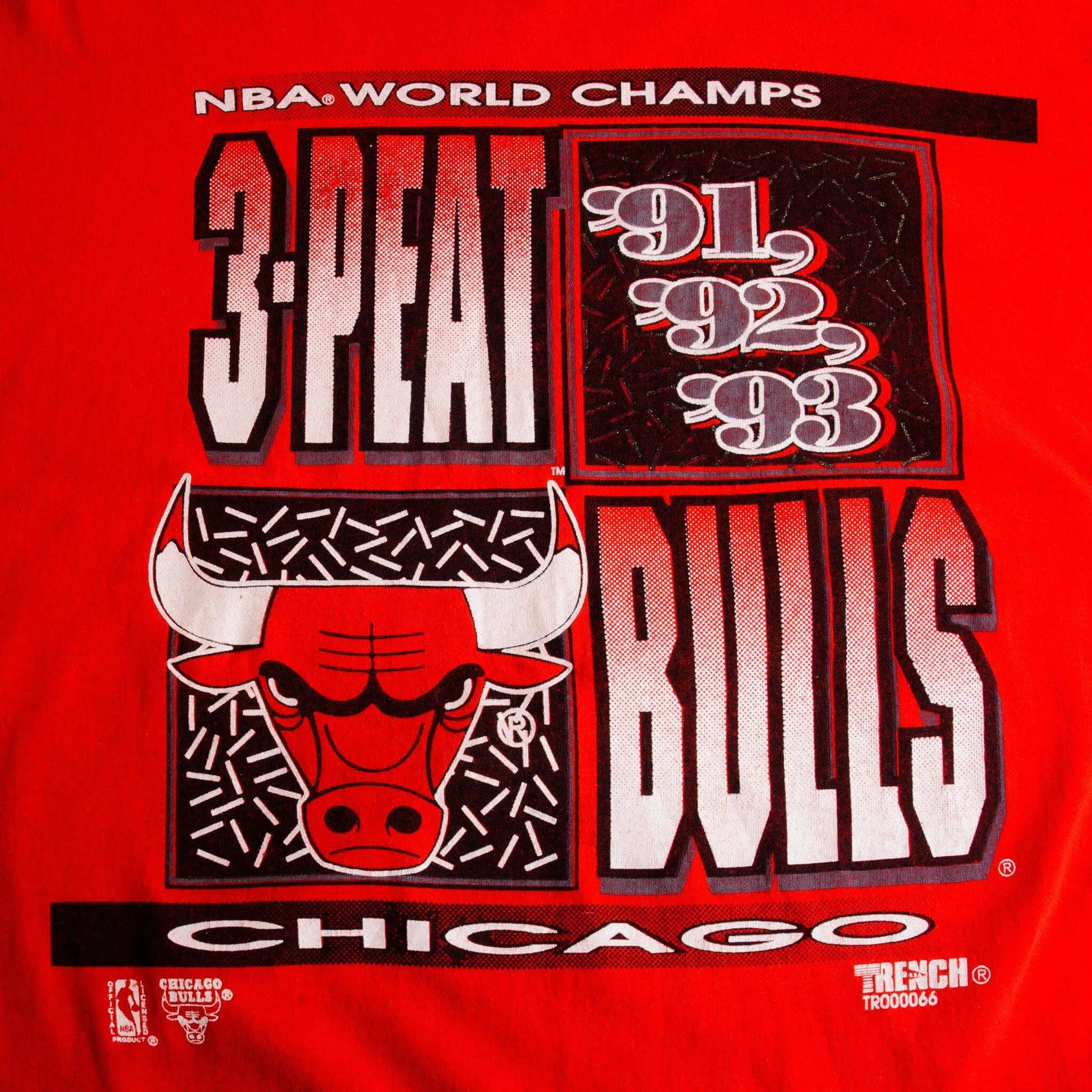VINTAGE NBA CHICAGO BULLS CHAMPIONS 1993 TEE SHIRT SIZE LARGE MADE IN USA